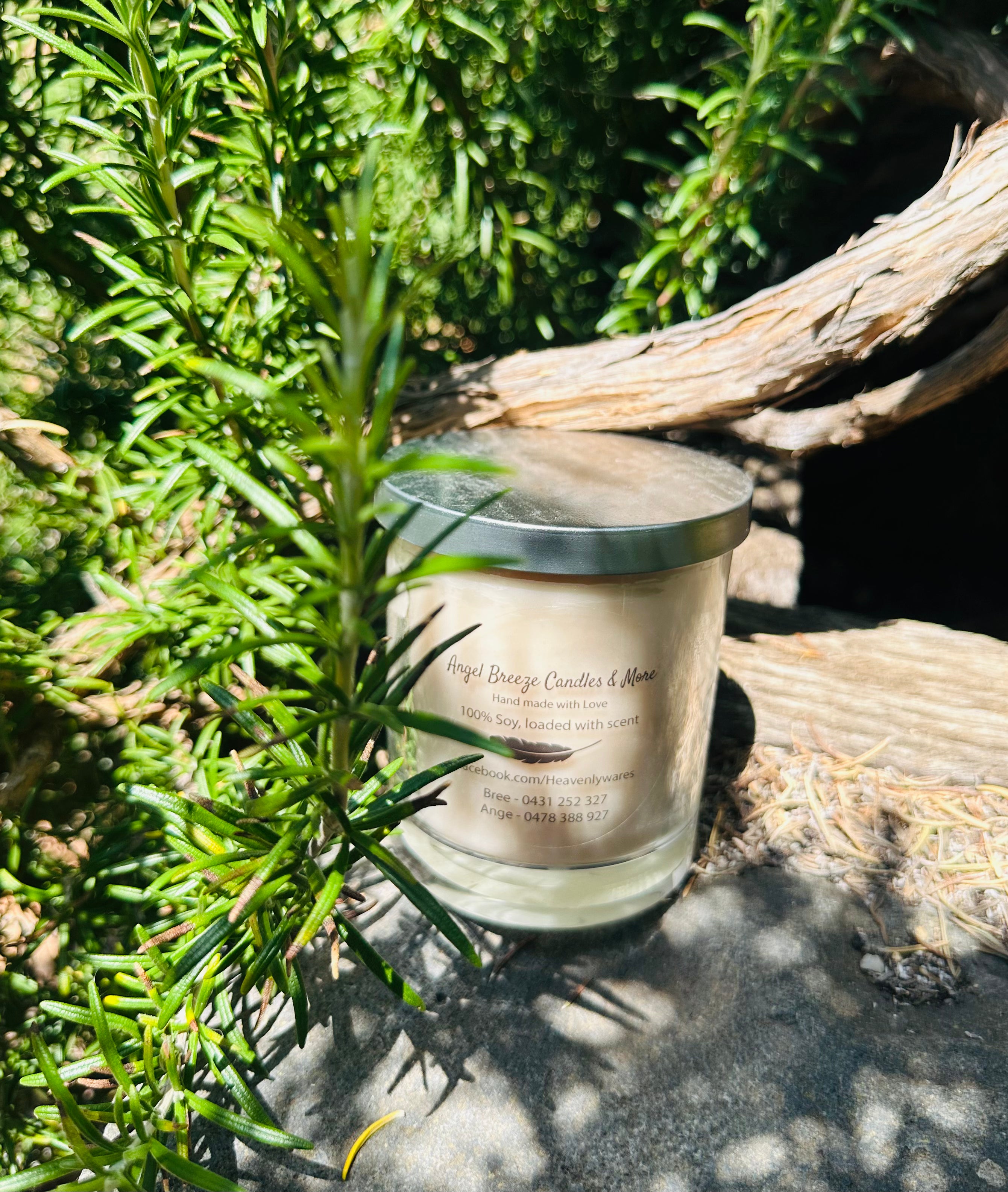 Cinnamon vegan soy candle nestled in rosemary bush