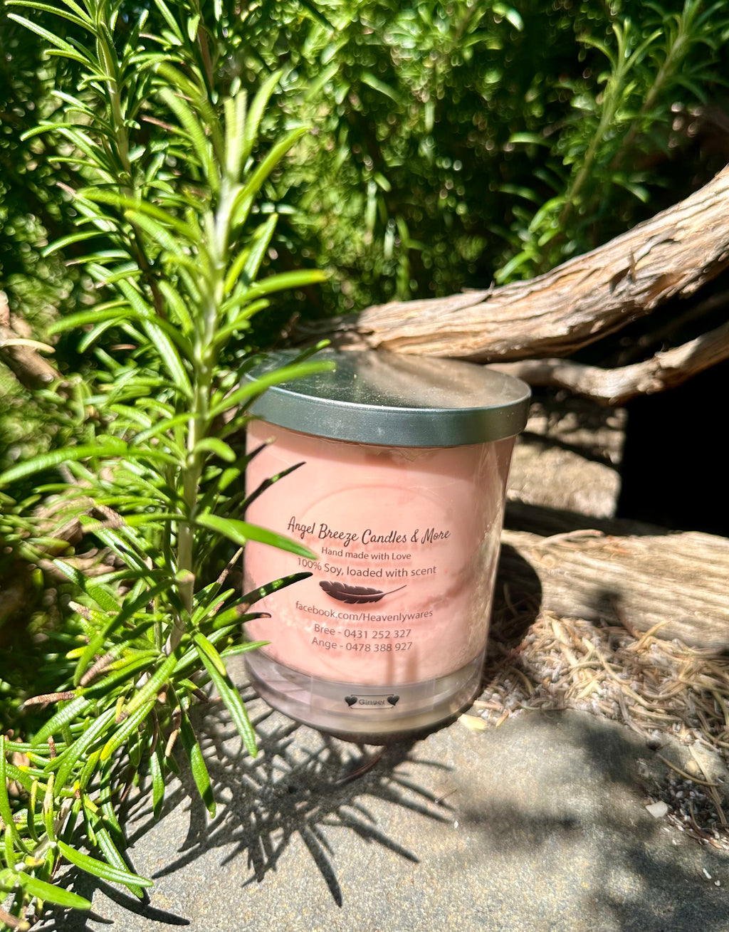 Ginger tripled scented vegan soy candle nestled in rosemary bush