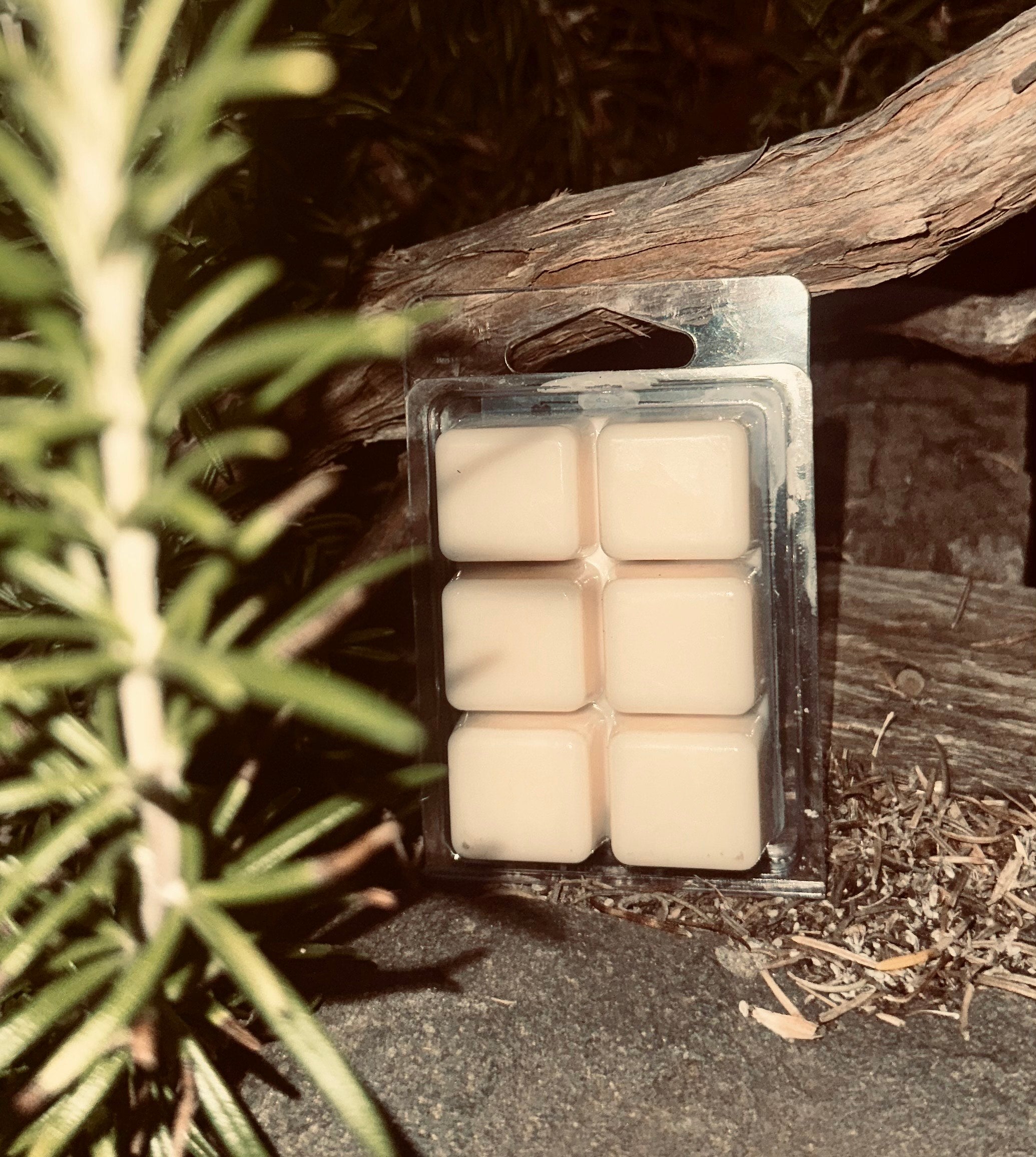 wax melts with a natural background featuring plants and wood.