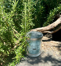 Lily of the Valley vegan soy candle nestled in rosemary bush