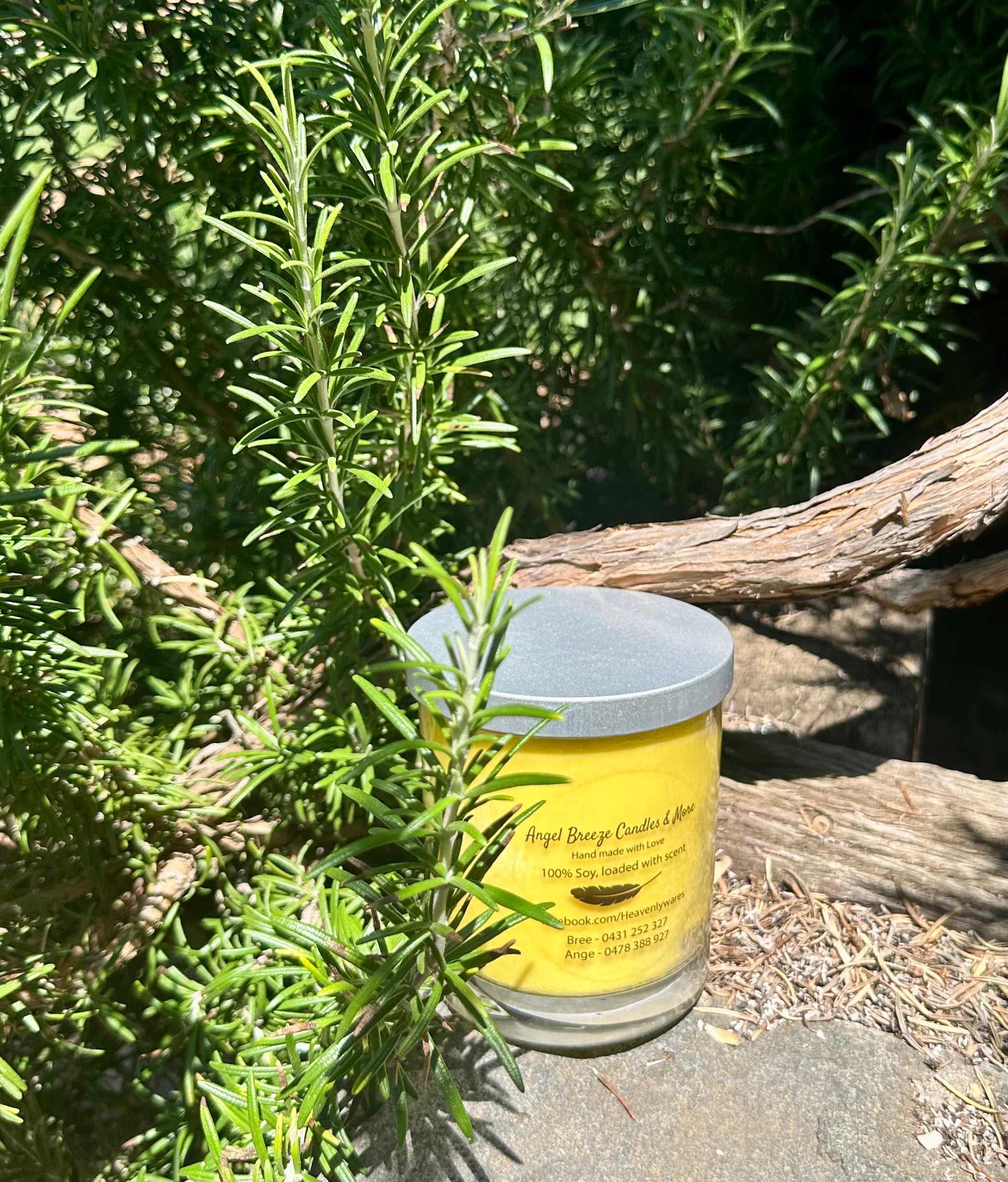 Lime and Coconut vegan soy candle nestled in rosemary bush